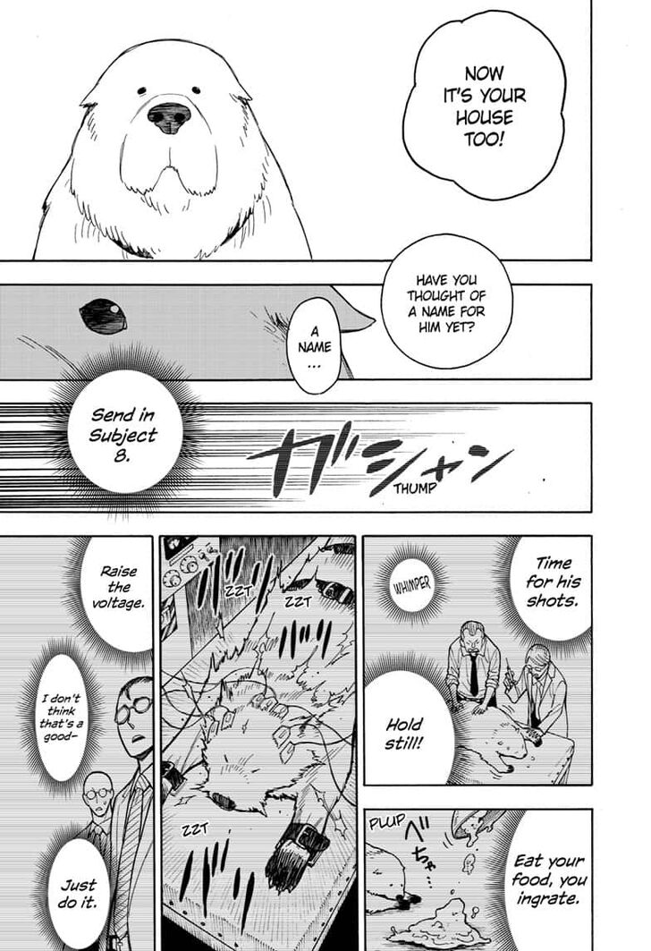 Spy x Family, Chapter 22 image 25